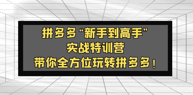 拼多多“新手到高手”实战课：带你全方位玩转拼多多！小目标分享网-专注资源收集分享平台小目标分享网